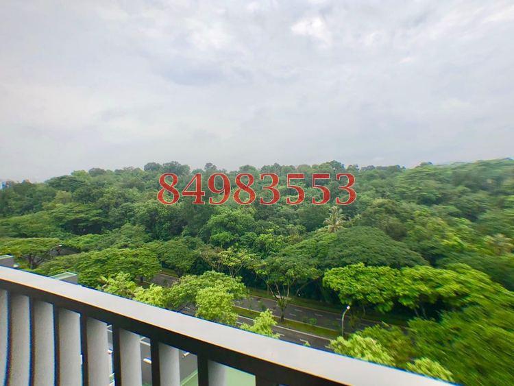 Meadows @ Peirce (D26), Condominium #174777672